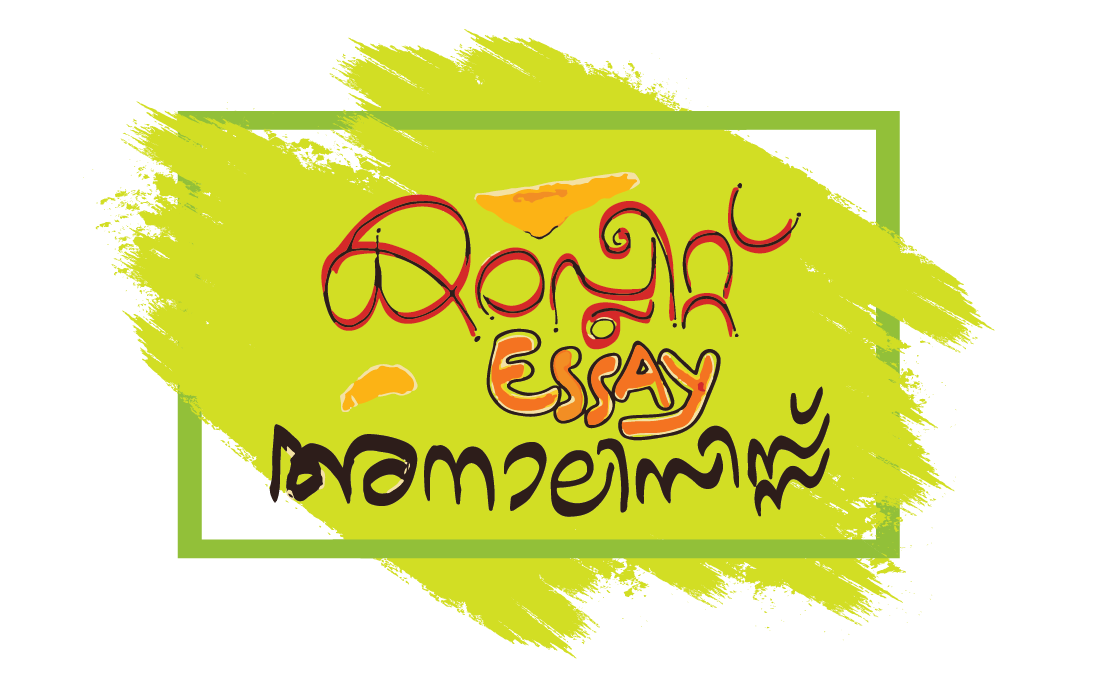 The Complete Essay Analysis