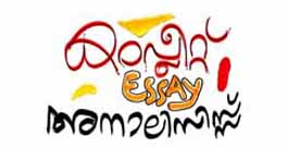 The Complete Essay Analysis